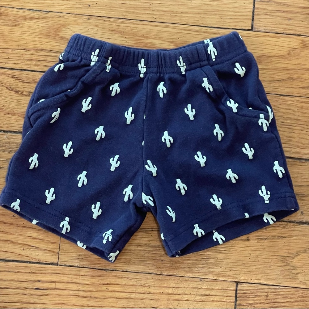 Blue Cactus Print Shorts